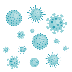 Es gibt etwas 200 verschiedene Viren die für eine Erkältung verantwortlich sein können. Da wären z.B. die Rhinoviren, Adenoviren und die Coronaviren. © Svetla/shutterstock
